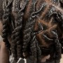 Shampoo & Retwist