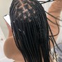 INDIVIDUAL BRAIDS ( Bra Strap)