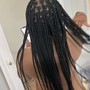 Small knotless Braid mid back