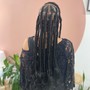 Medium size Box Braids