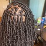 6-10 feed in braids