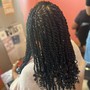 Medium Senegalese Twist