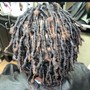 Root Touch Up