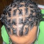 Individual Braids/Plats (MEDIUM)