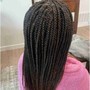 Box Braids small