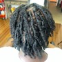 Starter Locs