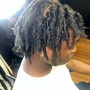 Starter Locs