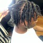 Starter Locs