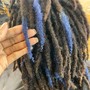 Micro Loc Coils Starter Locs