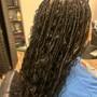 Bohemian Box Braids(Mid-back or Long)