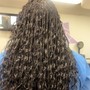 Bohemian Box Braids(Mid-back or Long)