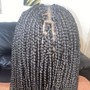 Micro 2 Strand Twist w/ Extensions