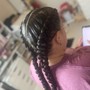 Adult Braided Ponytail