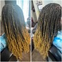 Starter Dreadlocks