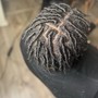 Starter Locs