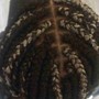 Starter locs