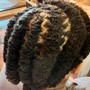 Two Strand Twists