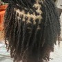 Overdue Loc Maintenance (More Than 8 Weeks Since Last Appointment)