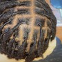 Starter Micro Locs Twist Method Natural Hair (6” to 10” Hair)