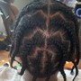 Comb Twist/Starter Locs