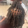 Loc Retwist