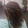 Tree Braids