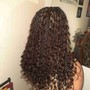 Permanent Waves/ Curly Perm