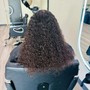 Root Touch Up