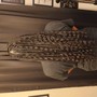 Braids to the scalp with Crochet hair in the back