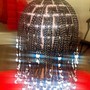 Shoulder length Box Braids ( natural hair )