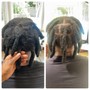 **Starter Twist Locs Small Fro**