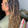 Starter Locs