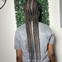 Natural Twists/natural braids