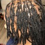 Starter Locs