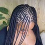 Tree Braids