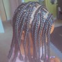 Poetic Justice Braids