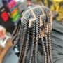 Box Braids ~ SMALL