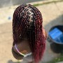 Adult Large Island Twist