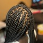 Adult Large Island Twist