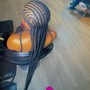 Box Braids smedium mid back