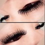 Classic Eyelash Fill