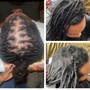 **Starter Twist Locs Small Fro**