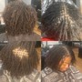 Loc wash & style