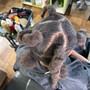 Women blunt haircut