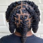 Regular retwist