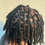 Regular retwist