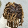 Regular retwist