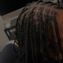 Starter locs