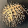 Starter locs