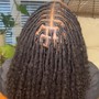 Small traditional starter locs